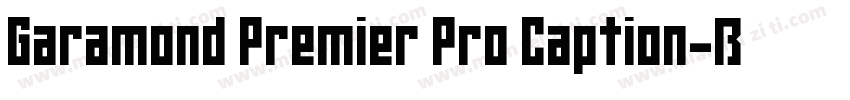 Garamond Premier Pro Caption字体转换